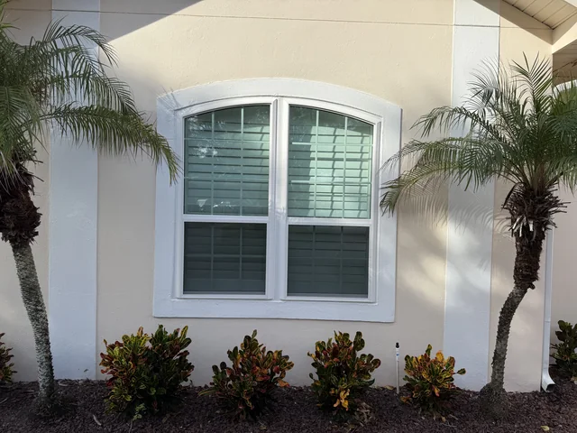 White arched replacement windows installed by Colonial between palms and garden plants.
