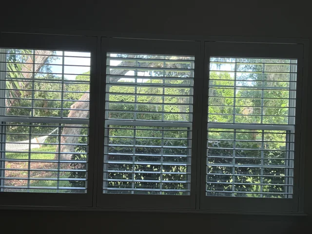 Interior view of three replacement windows behind open plantation shutters, looking toward trees and a garden.
