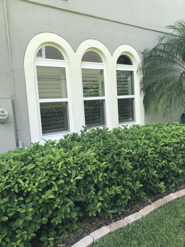 Three white-framed windows with half-round tops above a garden hedge.