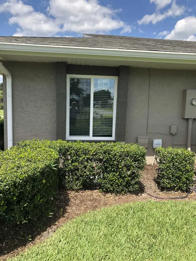 White-framed window in a gray exterior wall above a garden hedge.
